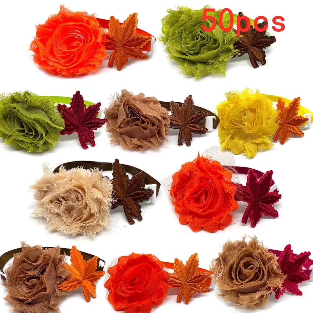 50PCS