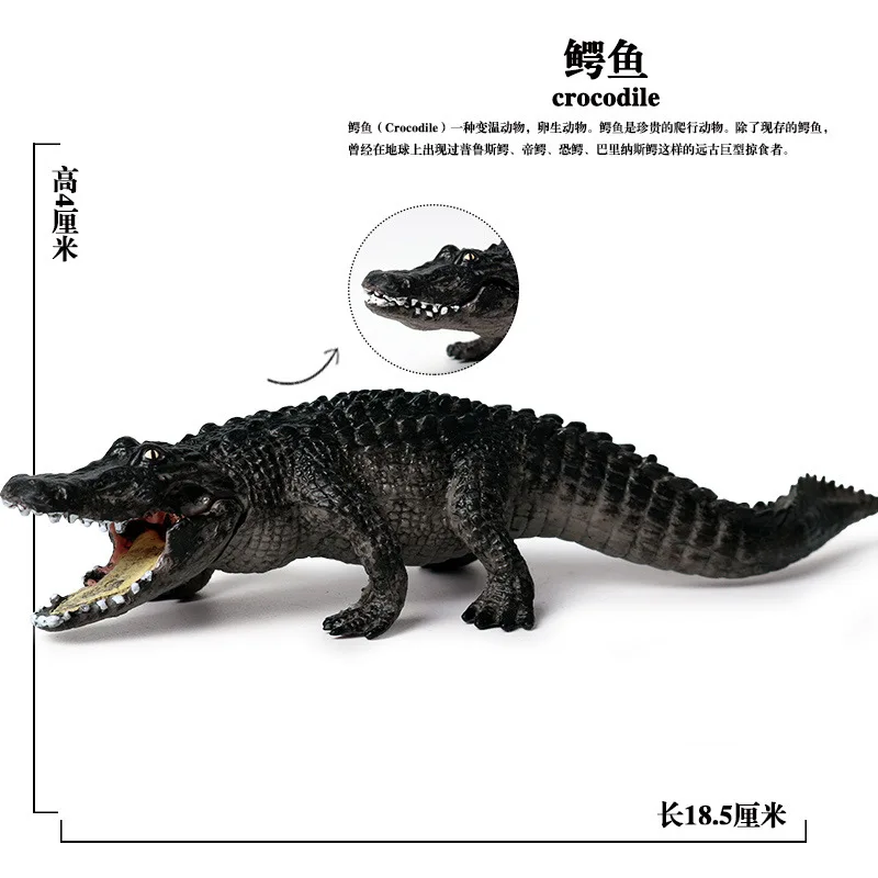 Model Solid Wild Animal Model CHILDREN'S Toy Model BoarCroc Crocodile Car Mounted Decorations And Ornaments Garage Kit