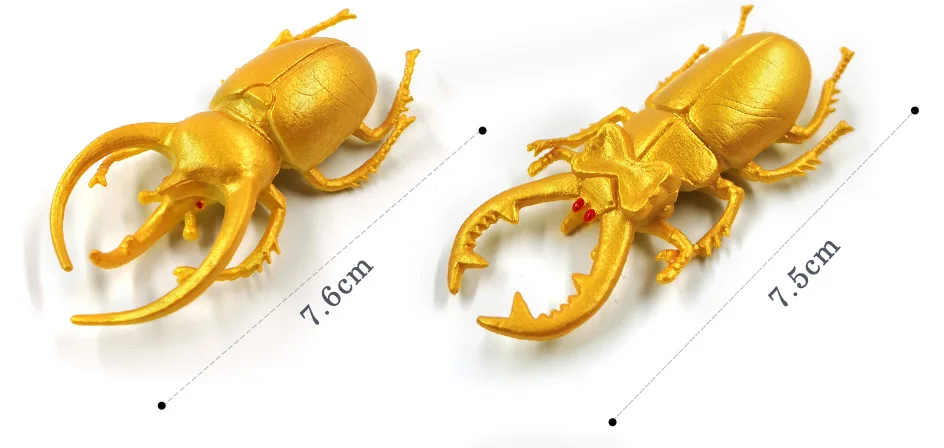 详情页-4款-昆虫甲虫等_13