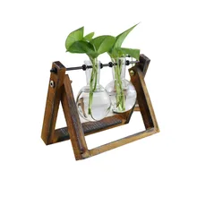 Домашняя настольная стеклянная ваза ZAKAKA стиль микро-пейзаж креативная гидропонная бутылка офисное украшение стеклянные Ретро Стеклянные Вазы