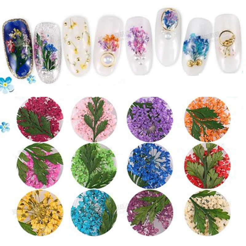 12Boxes/Set Charm Natural Dry Flower Decal Nail Art 3D Dried Real Flora Flowers With Leaf DIY False Nail Decoration Dried Flower