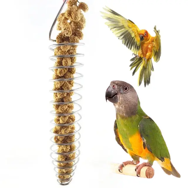 Parrot Bird Food Fruit Basket Toys Stainless Steel Feeding Device Birds Cage Feeder 5