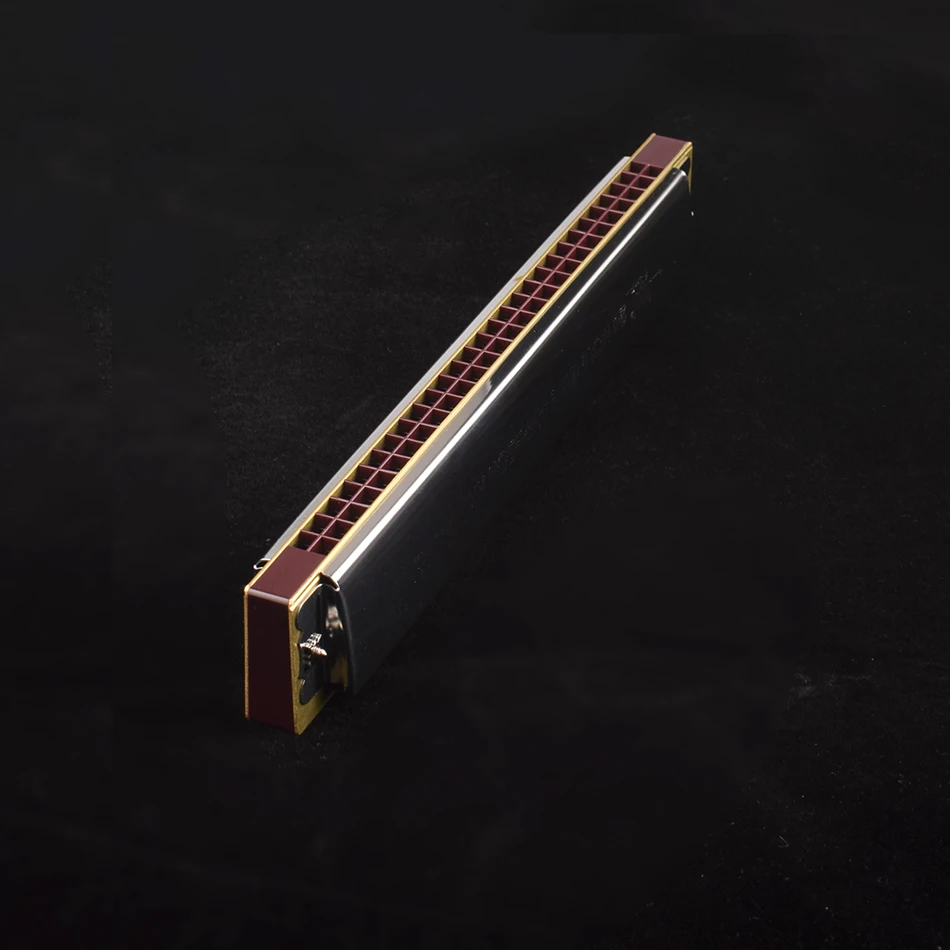 Swan harmonica 28 Holes Tremolo Harmonica  Musical Instrument Educational Toy with Case