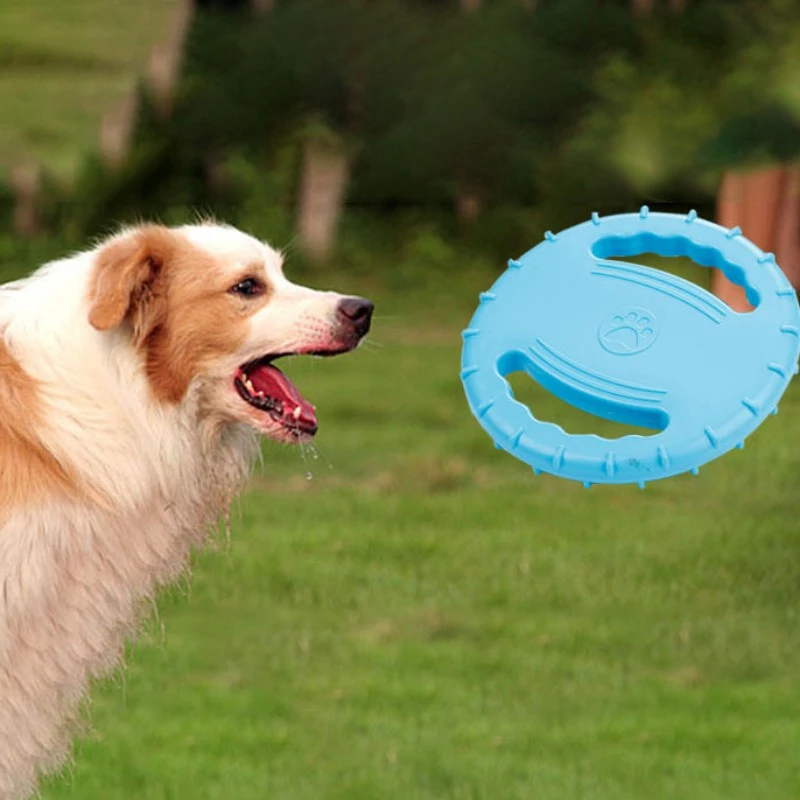 outdoor puppy toys