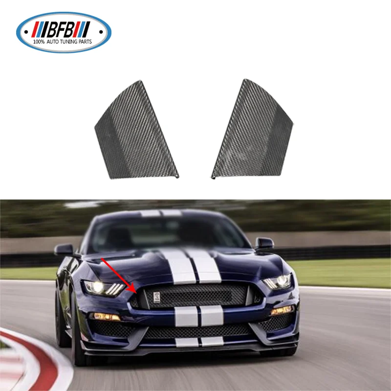 Чехол для переднего гриля Ford Mustang GT350 из натурального сухого углеродного волокна