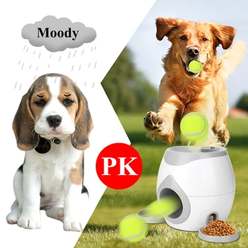 

Pet dog puppy interactive toy baseball reward machine tennis teddy golden retriever labrador safe funny toy Baseball hot
