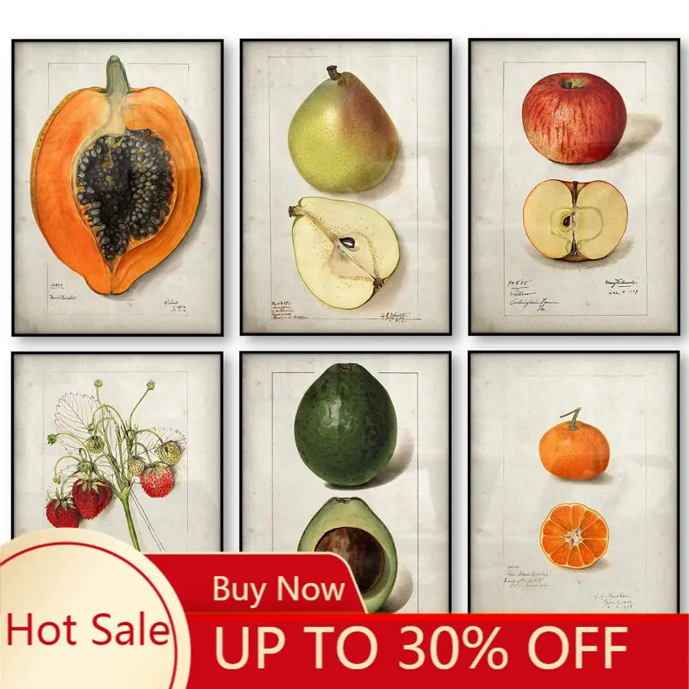 Картина на холсте фрукты кухонный постер винтажные плакаты антикварный холст