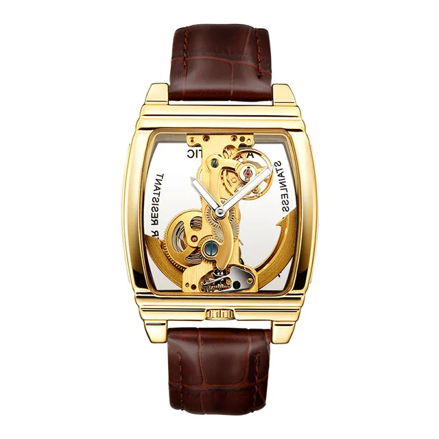 Прозрачные мужские часы механические Автоматические наручные часы с кожаным ремешком Лидирующий бренд стимпанк с автоматическим подзаводом мужские часы montre homme - Цвет: Brown Gold