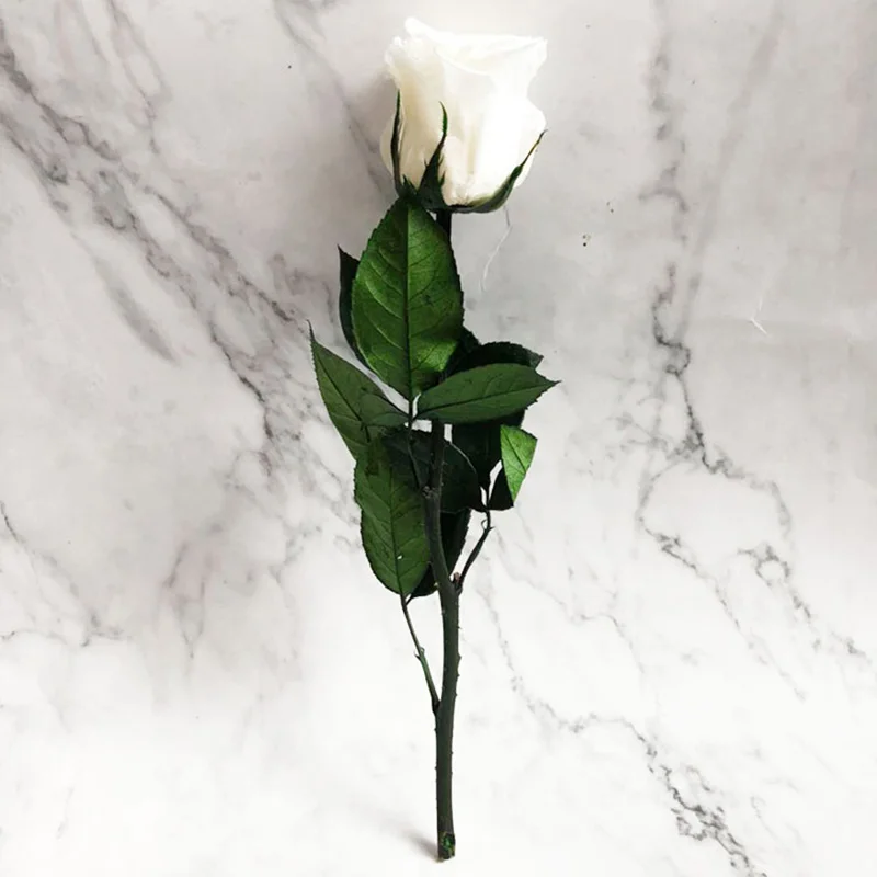 4-5 см диаметр Сохраненная Роза Цветы Роза с 28 см стебель День матери DIY Свадьба вечная жизнь цветок материал подарок - Цвет: Белый