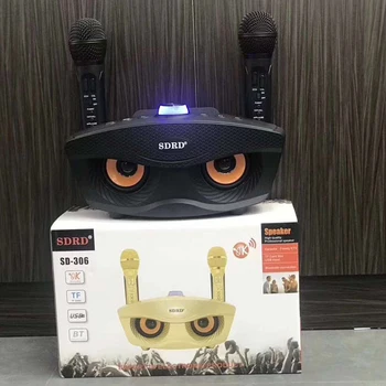 

SD306 Dual Bluetooth Speaker With 2 Wireless Microphones Outdoor Family KTV Stereo Mic Big Sound 20W SDRD Sd 306 Speaker Set