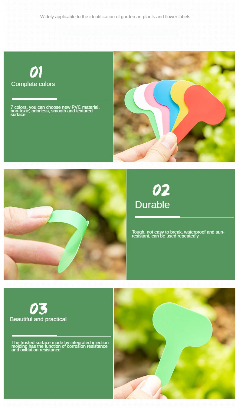 Marque Plante En Ardoise Toutes Tailles