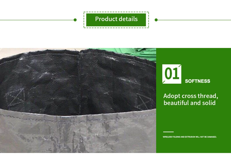 10414360872_1596666809