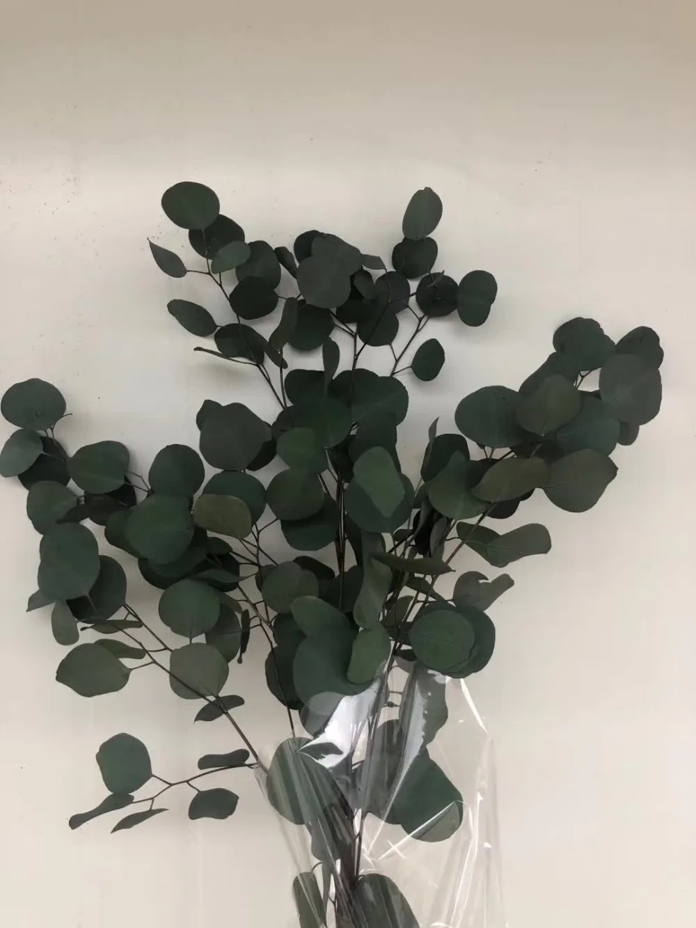 微信图片_20201020150327