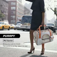 Дышащая Сумка-переноска для домашних животных, сумка для путешествий, сумка для кошек, собак, щенков, для наружного использования в помещении