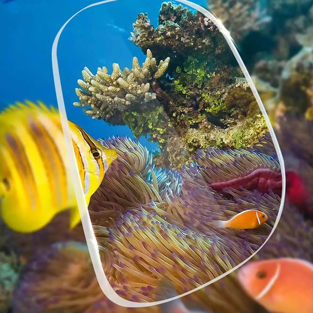 Slide image 0cd52cdca61946229491ae8103414b76