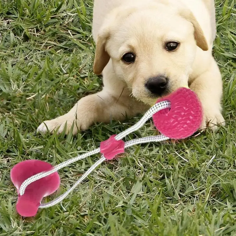 

Multi-function Dog Puppy Pet Molar Bite Toy Cleaning Teeth Rubber Chew Ball Soft Puppy Suction Cup Dog Biting Toy 2019 Hot Sale
