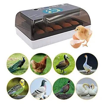 

New 12 Eggs Incubator Low Noise Moisture-proof Household Mini Egg Incubators Bird Pigeon Chicken Duck Egg Hatcher With LED Lamp