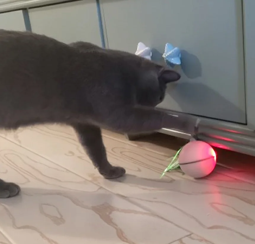 HIPET электрическая игрушка для кошки интерактивный автоматическое оборудование