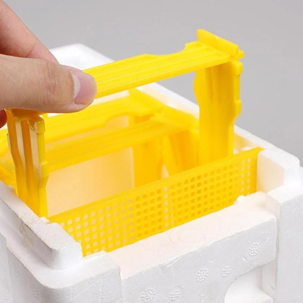Bee Hive Beekeeping King Box Pollination Box Foam Frames Beekeeping Tool Kit for Farm Garden Beeworking Pollination