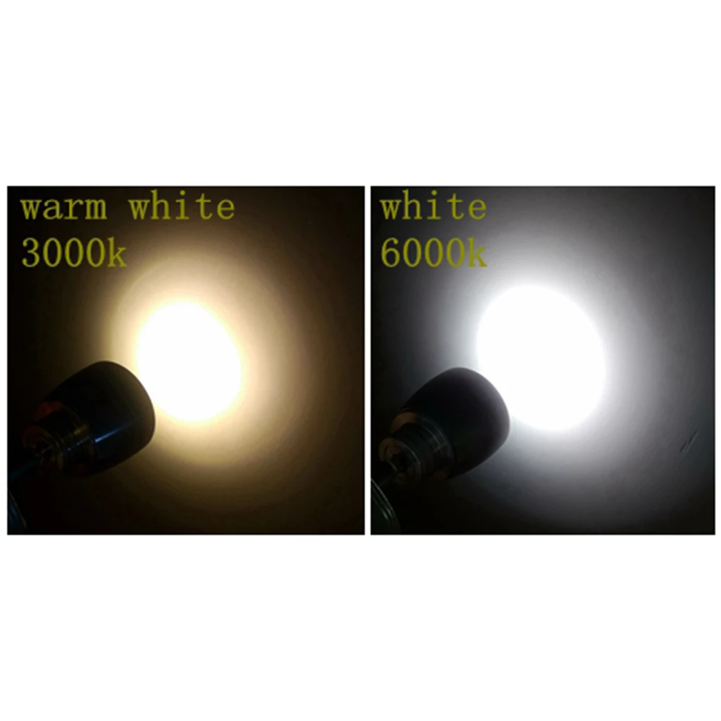 12V 3W Boat LED Spotlight Interior Reading Light Wall Lamp