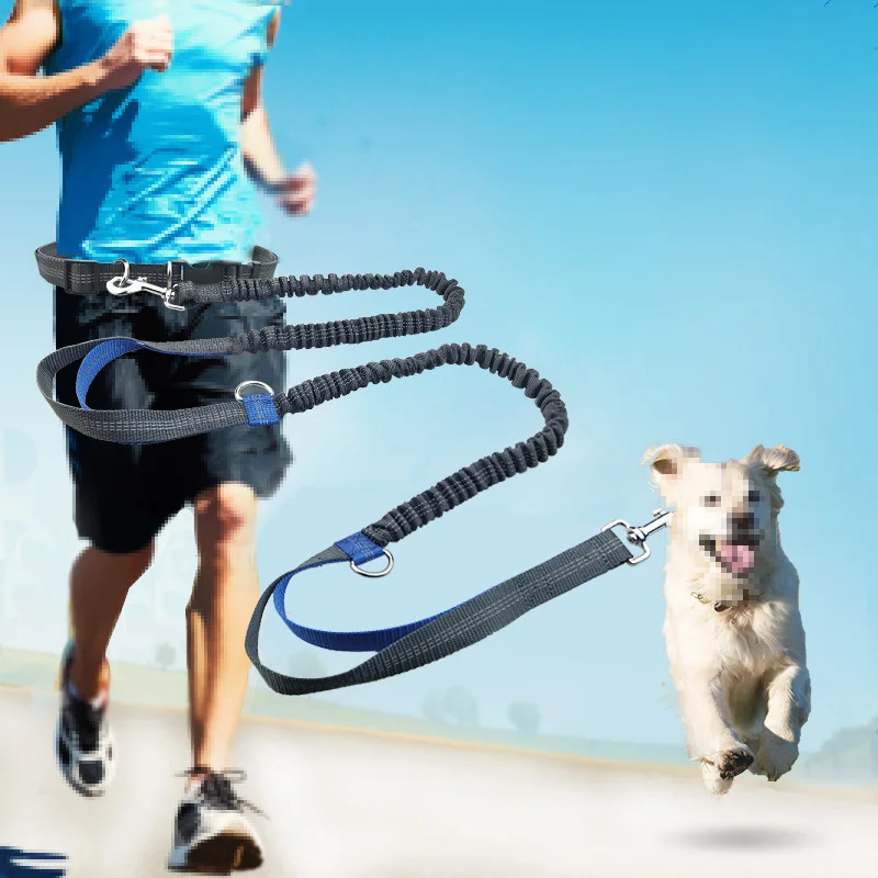 

260cm Multifunction Elastic Leash for Dogs Running Reflective Waist Dog Leashes Stretch Retractable Rope Adjustable Strip Chain