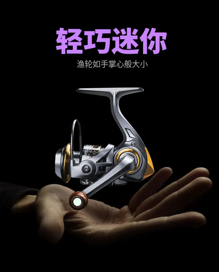 9633046650_1698297231