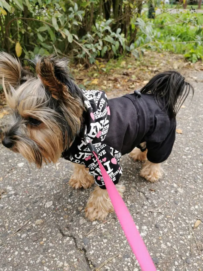 U41ee00124ebc4dcdaaf580a1085f6991O