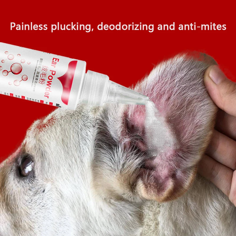 DogearhairremovalpowderTeddyearcleaningpowderGoldenhair