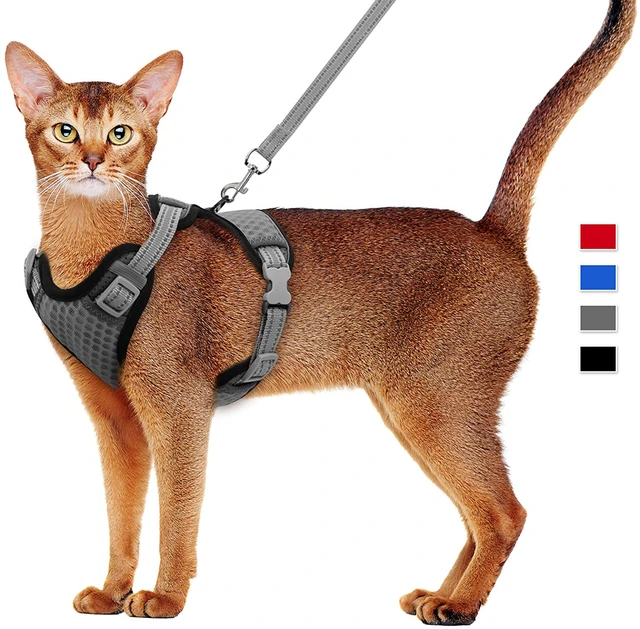 Breathable stylish ergonomic harness for cats - . Gift Ideas