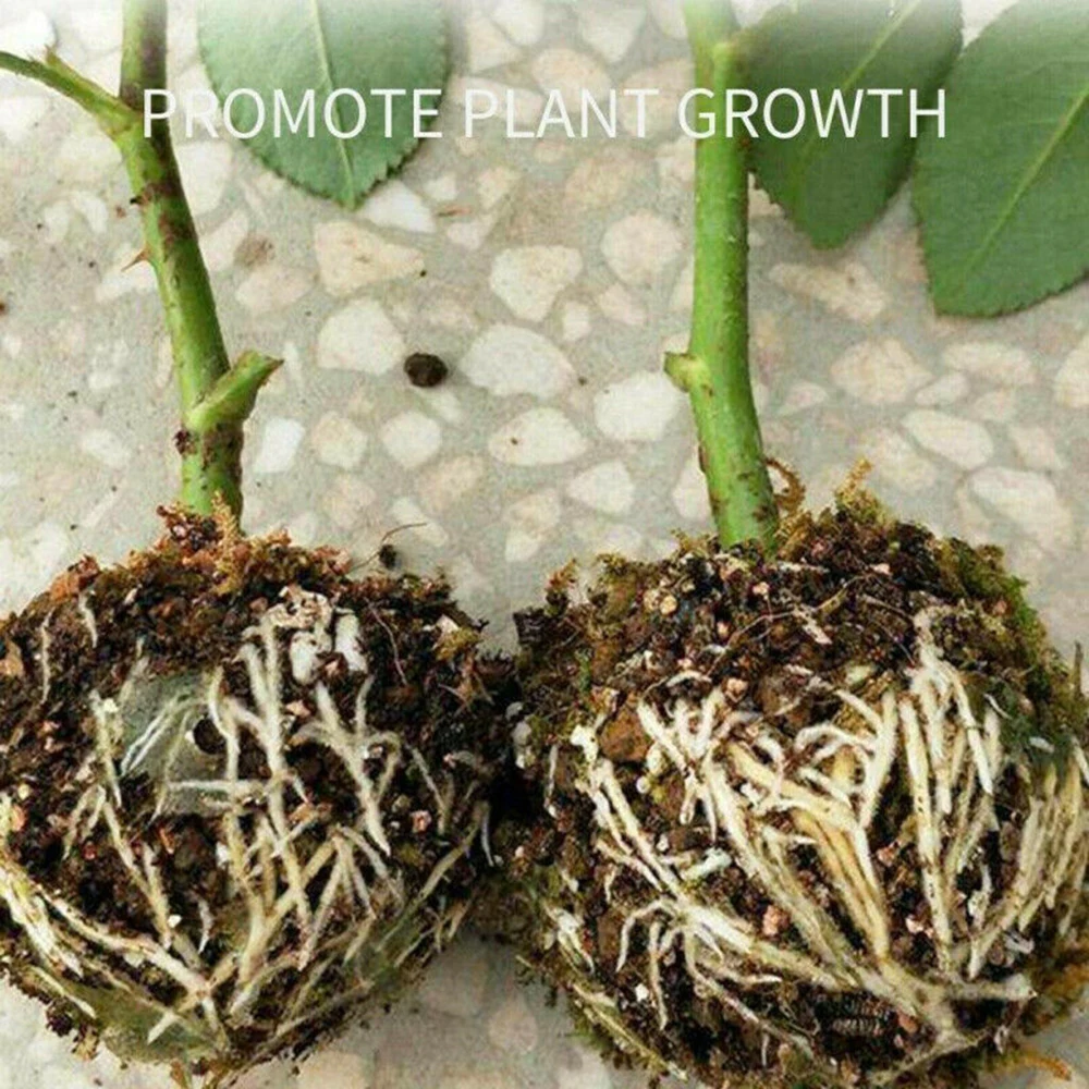 10Pcs Plant Rooting Ball High Pressure Grafting Rooting Box Root Growing Box Breeding Case Plant Growth Balls Gardening Supplies