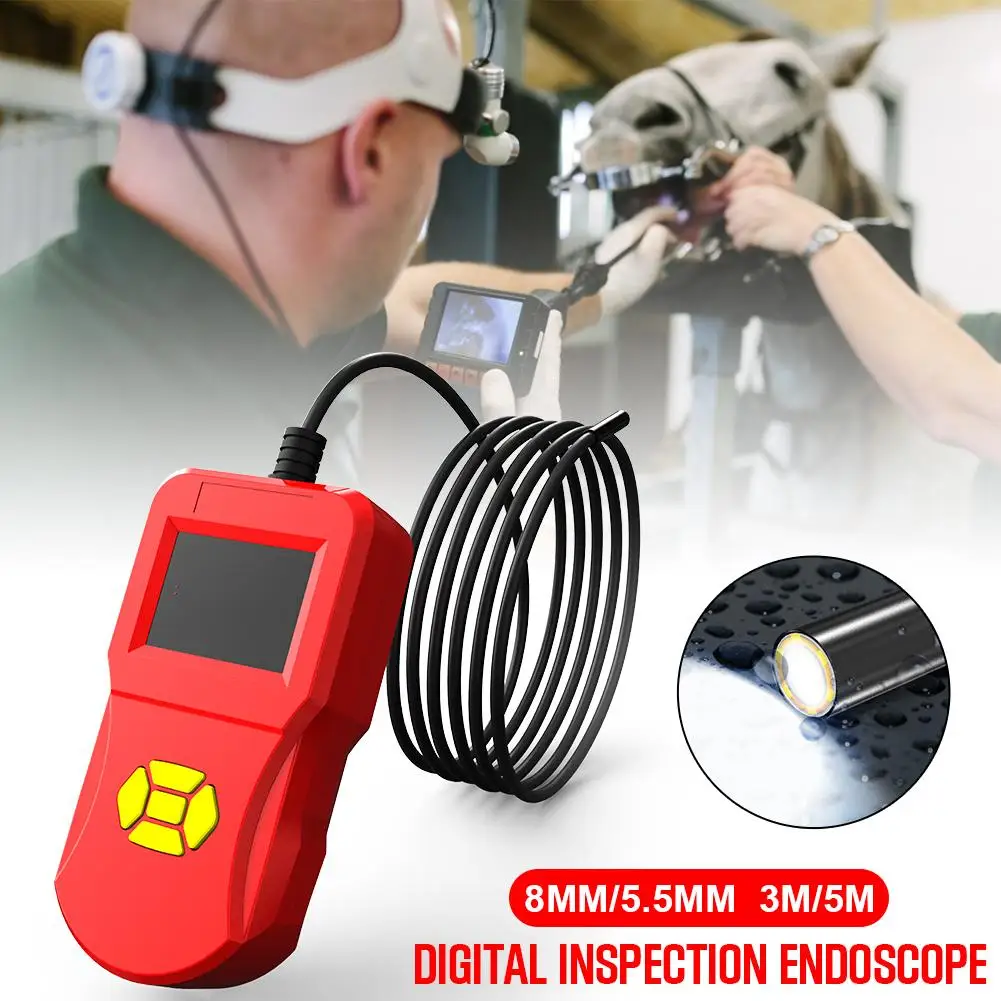 

2.4 Inch Industrial IPS High Definition Display Large Screen Endoscope Digital Detection Home Handheld with LED Maintenance Wate