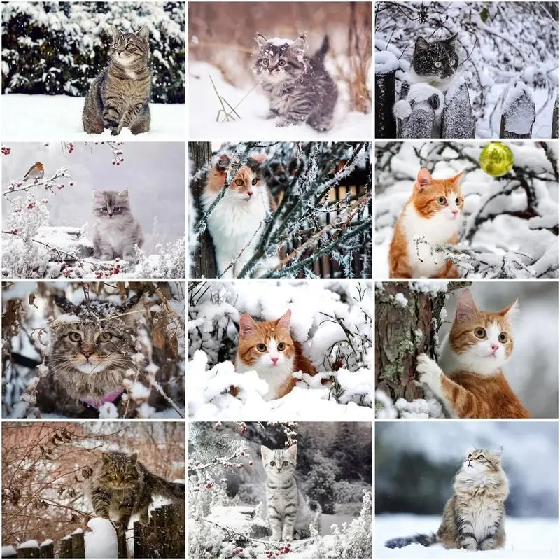

GATYZTORY Pictures By Number Animal Cat Kits Painting By Numbers Winter Landscape Handpainted Paintings Art Drawing On Canvas Ho