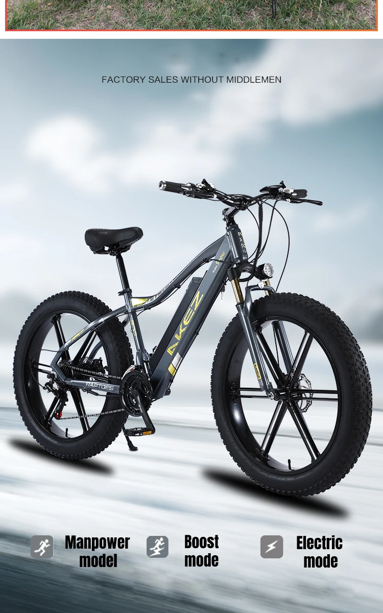 electric Bicycle 750 W 26 Inch 4.0 Fat Tire Snow Mountain Bike Lithium Battery Aluminum Alloy Ebike 350 W Adult