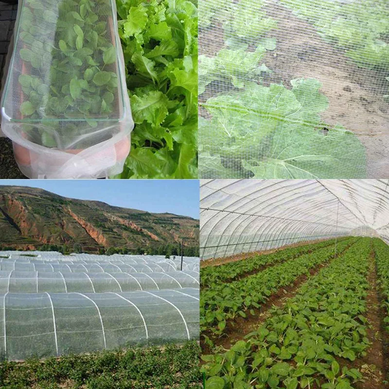 2.5X 10 Meter 8X32Ft Vegetable Netting Mesh Mosquito Anti Bird Net Greenhouse Garden Crop Vegetable Protection Fine Mesh Cloth