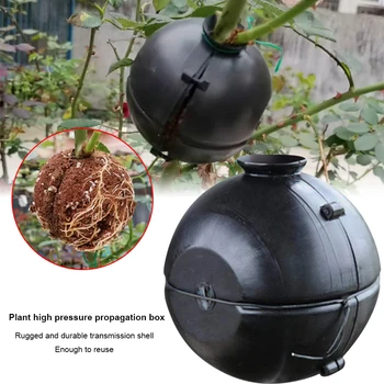 

Plant Rooting Ball Grafting Rooting Growing Box Breeding Case for Garden Plant high-pressure propagation box Sapling
