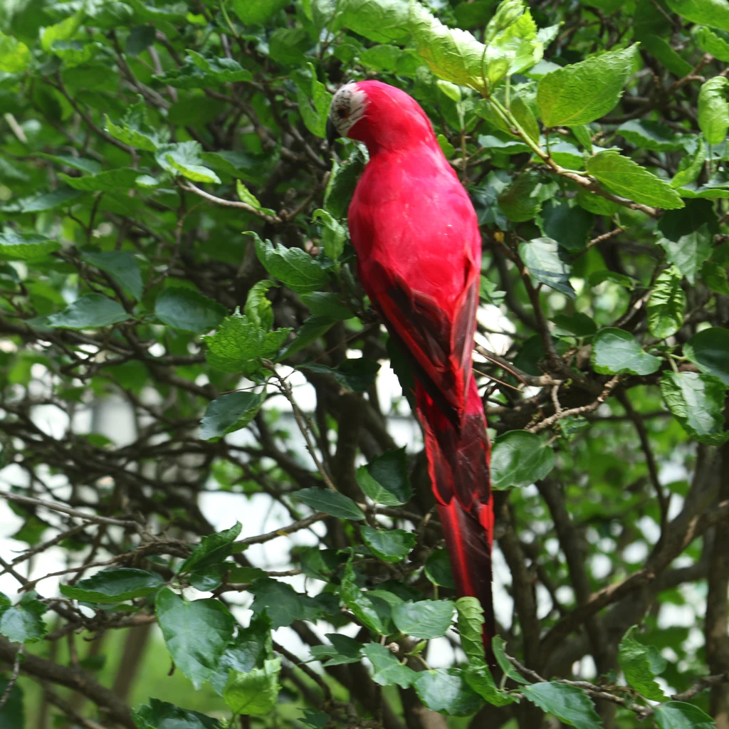 Lifelike Macaw Parrot Artificial Feathered Bird Statue for Home Outdoor Decoration, Various Colors
