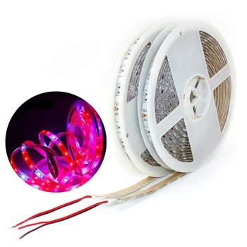 

DC12V Plant Grow Light Tape 5m Waterproof Full Spectrum LED Strip phyto lamp Red Blue 3:1 4:1 5:1 for Greenhouse Hydroponic