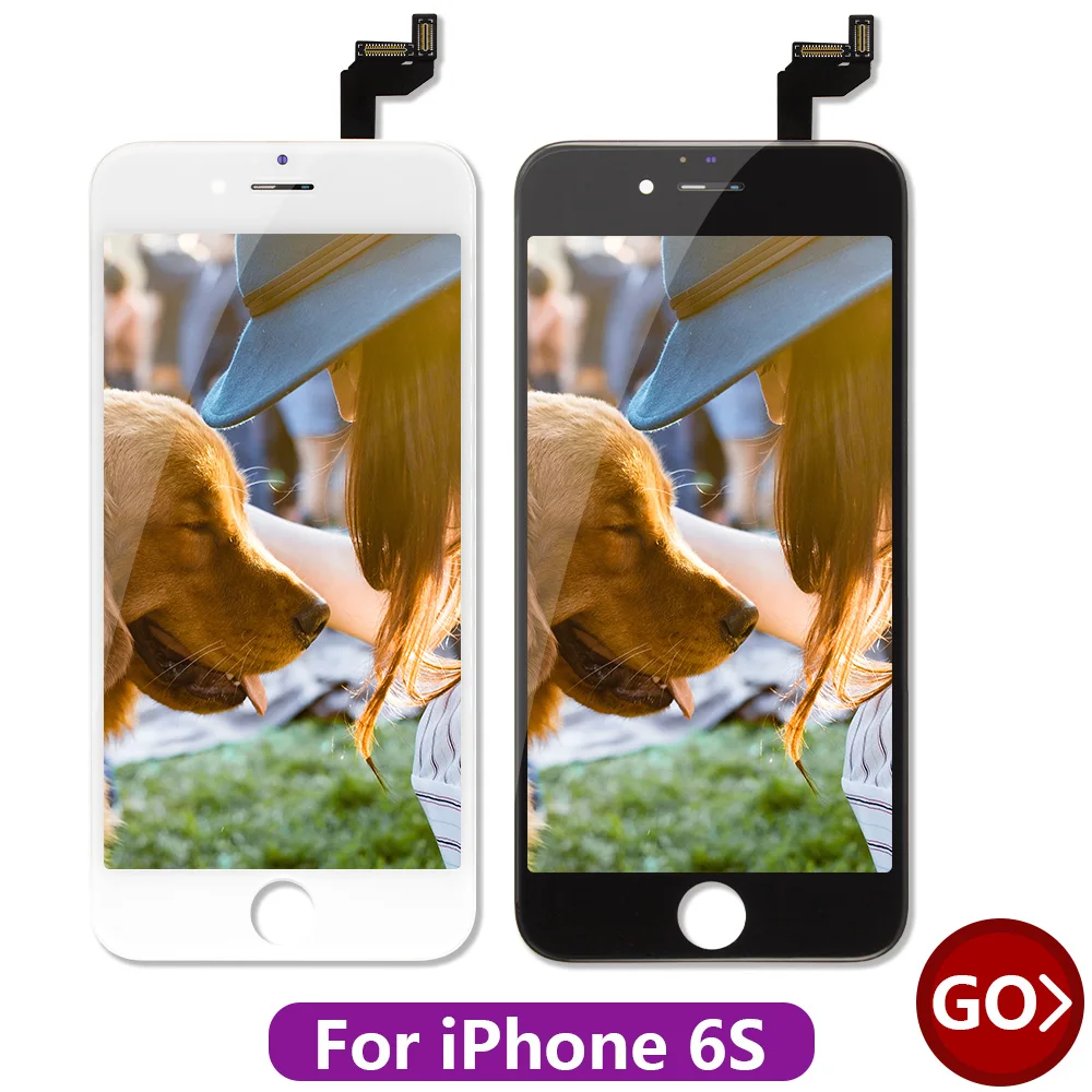 6S