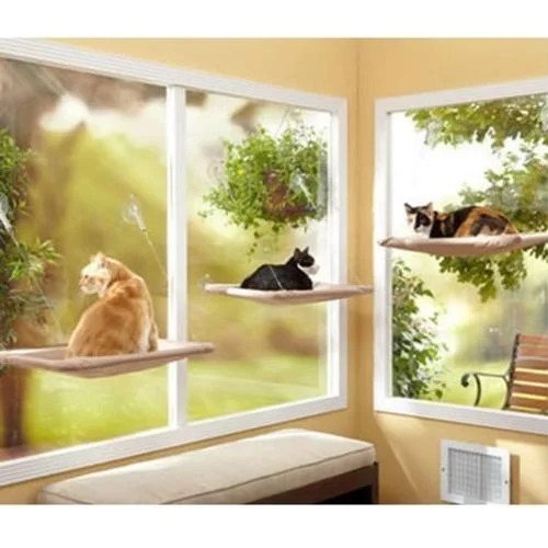 

1Pc Pet Hanging Bed Cat Sunny Seat Window Mount Pet Cat Hammock Cat Pet Bed Bearing 15kg Comfortable Cat Pet Bed Shelf Seat Beds
