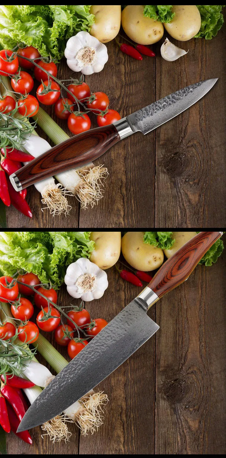 HTB1dwZ_LVXXXXX7apXXq6xXFXXXT