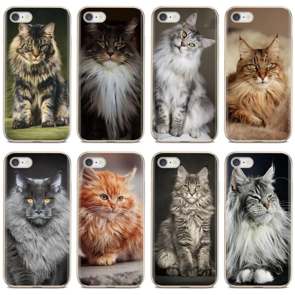 Для iPod Touch iPhone 10 11 12 Pro 4S 5S SE 5C 6 6S 7 8 X XR XS Plus Max 2020 ПЭТ Мейн кота мобильный телефон