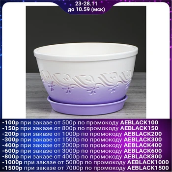 

Flowerpot "Yesenia curl" lavender, 3 L 4930687