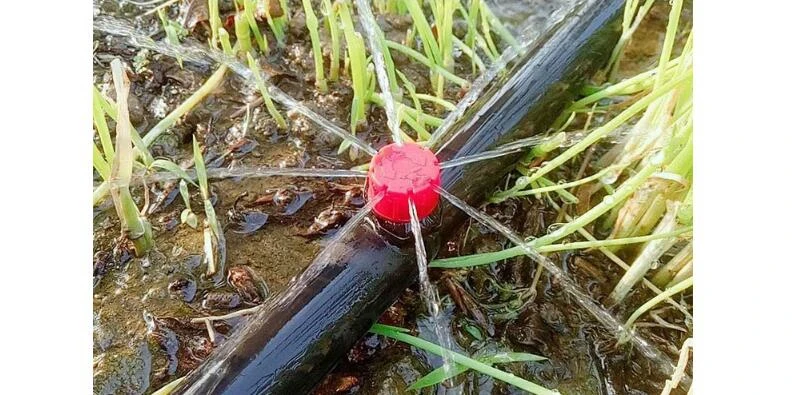 QQ截图20200820214011