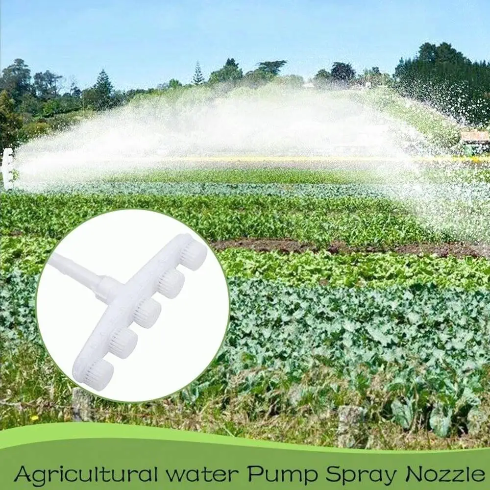 478606_582e9354ac524845a4a56093d37e9ebe