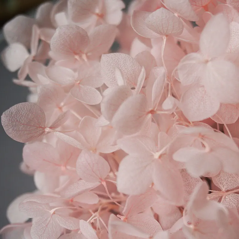 Anna Hydrangea  Flowers  Little  Leaves Preserved Hydrangea Decor  Office Decor  DIY Flowers