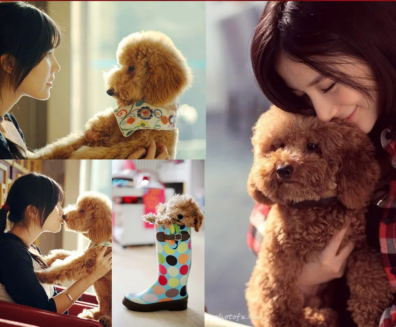 Animais de Pelúcia Macio da Vida Pequenos Bonito Real Pelúcia Simulado Peluches Realistas Travesseiros Nijntje Knuffel Aniversário Meninas Brinquedos Kk6fzm 3 Brinquedos e hobbies