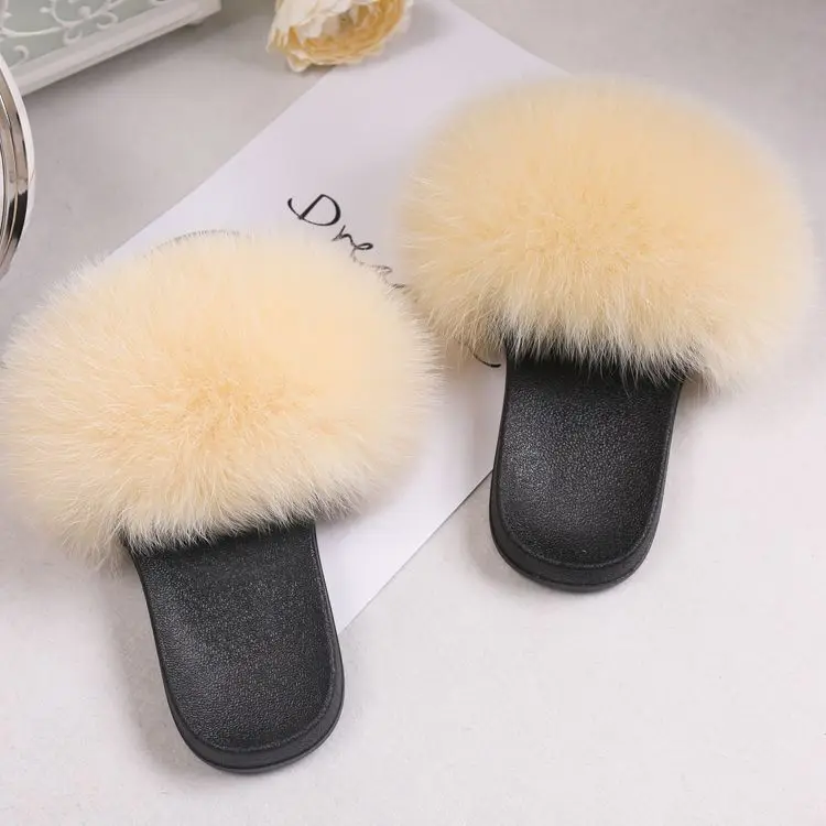 9160892351_1962555741