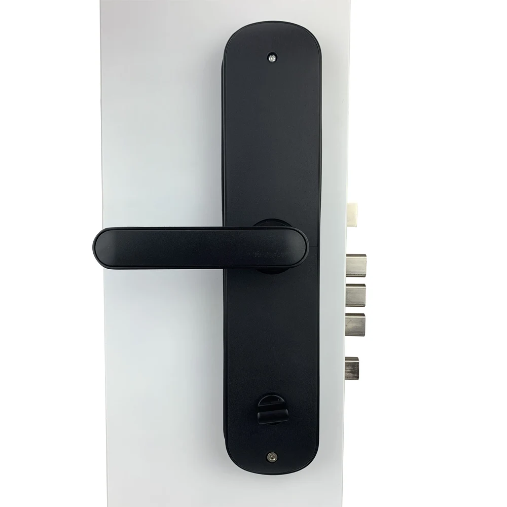 Электронная безопасность Smart Bluetooth App WiFi цифровой код IC карта биометрический