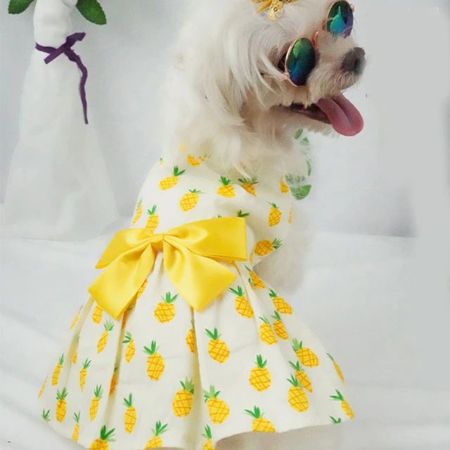 Female Dog Cotton Dress