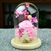 Diameter=10cm Different Height=12cm 15cm 18cm Log Base Glass Dome Home Decoration DIY Cover Friend Favor Gift Wedding Live Prop 6